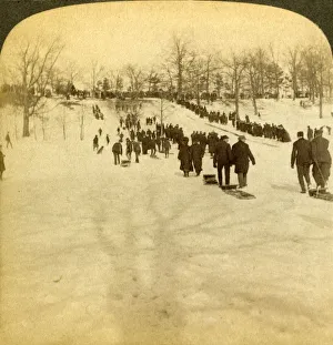 Sledges Prints: Canadian winter sports - tobogganing, 1905. Creator: Underwood & Underwood