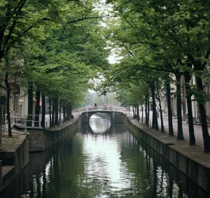Zuid Holland Prints: Canal in Oude, Delft. Artist: CM Dixon