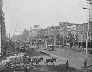 New Orleans Prints: Canal Street, New Orleans, Lousiana, c1897. Creator: Unknown