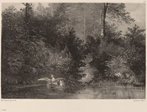 Canards, 1861 / 1866. Creator: Karl Bodmer