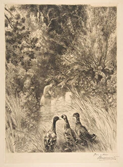 Canards surpris, 1882. Creator: Felix Bracquemond