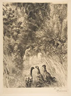 Undergrowth Prints: Canards surpris, 1882. Creator: Felix Bracquemond