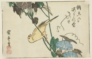 Convolvulus Arvensis Prints: Canary and morning glories, n. d. Creator: Ando Hiroshige