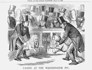 Edward Henry Stanley Gallery: Canine at the Westminster Pit, 1862