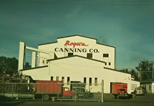 Trucks Collection: Canning plant where peas are principal project, Milton-Freewater, Oregon, 1941. Creator: Russell Lee