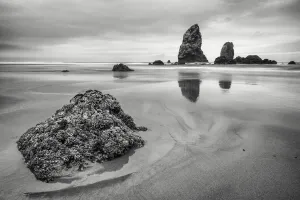 Sand Gallery: Cannon Beach. Creator: Joshua Johnston
