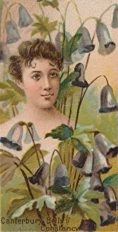 Constancy Prints: Canterbury Bells: Constancy, from the series Floral Beauties and Language of Flowers (N75
