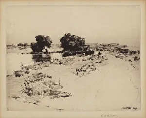 Platt Charles A Prints: Cape Ann Willows, 1887. Creator: Charles A Platt