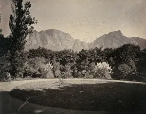 1896 Prints: Cape Town, South Africa: Table Mountain from The Vineyard Hotel at Newlands