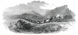 Cape Waggon, 1850. Creator: Unknown