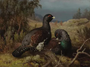 Capercaillie Cocks, 1876. Creator: Ferdinand von Wright