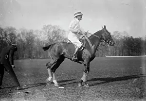 Ponies Prints: Capt. Lloyd (Eng. Polo Team), 1911. Creator: Bain News Service