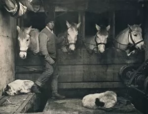 Antarctic Gallery: Captain Oates, on the Terra Nova with the Siberian Ponies, c1911, (1914)