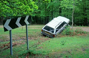 Crash Prints: Car Accident