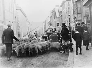 Kerb Prints: A car surrounded by sheep, Lewes High Street, East Sussex