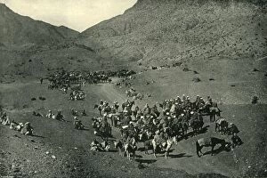 Bourne And Gallery: Caravan Passing Through the Khyber Pass, 1901. Creator: Bourne & Shepherd
