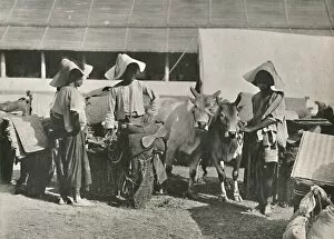 Caravan Scene with Shans at Bhamo, 1900. Creator: Unknown