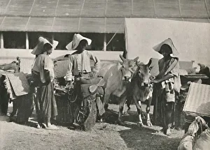 Rowe And Co Prints: Caravan Scene with Shans at Bhamo, 1900. Creator: Unknown