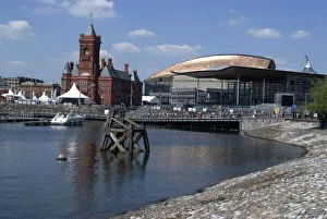 Wales Collection: Cardiff misc, 2009. Creator: Ethel Davies