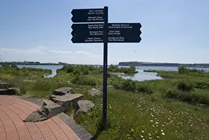 Sunny Collection: Cardiff, Wetlands Reserve, 2009. Creator: Ethel Davies