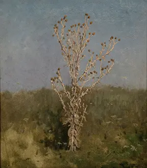 1885 Prints: Carduus (plumeless thistles), 1885. Creator: Jan Stanislawski