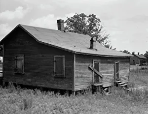 Deserted Prints: Careyville, northern Florida, 1937. Creator: Dorothea Lange