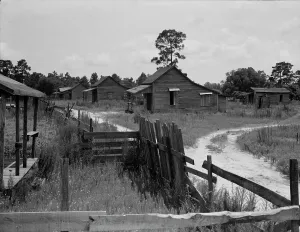 Deserted Prints: Careyville, northern Florida, 1937. Creator: Dorothea Lange