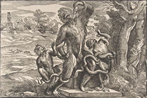 Vecellio Collection: Caricature of the scuptural group, the Laocoon, ca. 1540-45. ca. 1540-45