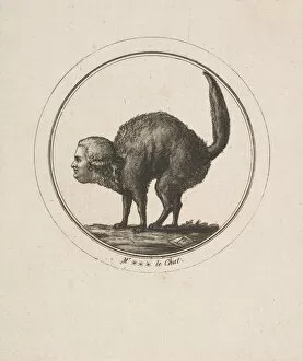 Count Of Provence Gallery: Caricature Showing the Comte de Provence as a Cat, 18th century. Creator: Unknown