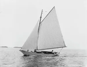 Carl, between 1880 and 1899. Creator: Unknown