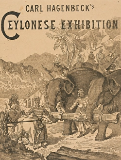 Tableau Vivant Prints: Carl Hagenbeck's Ceylonese Exhibition