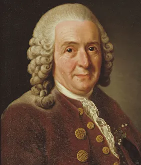 Botanist Prints: Carl von Linné, 1707-1778, botanist, professor, 1775. Creator: Alexander Roslin