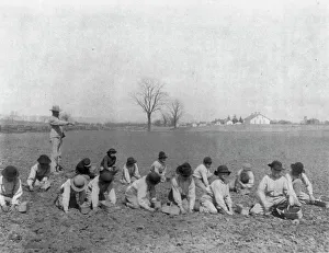 Carlisle Indian School, Carlisle, Pa. Boys digging for potatoes(?) in field, 1901. Creator: Frances Benjamin Johnston