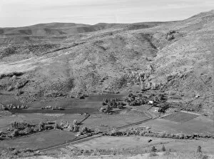 Cooperative Gallery: The Carlock farmstead, Gem County, Idaho, 1939. Creator: Dorothea Lange