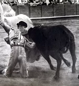 Bullfighter Collection: Carlos Arruza, Mexican bullfighter (1920-1966)