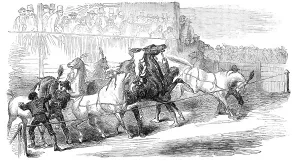 Start Prints: Carnival Races at Rome, 1856. Creator: Unknown