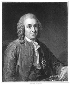 Carolus Linnaeus, 18th century Swedish naturalist, 1835 Carolus Linnaeus, 18th century Swedish naturalist, 1835