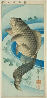 Swimming Gallery: Carp, Japan, c. 1830 / 44. Creator: Katsushika Taito