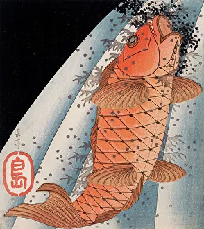 Open Mouth Prints: Carp Swimming up a Waterfall, c1827-28. Creator: Gakutei