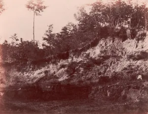 Carriere, 1850-53. Creator: Charles Marville