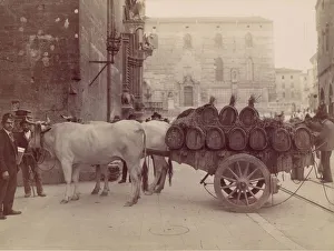 Atkinson Prints: Carro con buoi, Perugia, 1880s. Creator: James Anderson