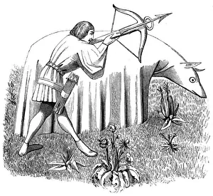 Camouflage Collection: How to carry a cloth to approach beasts, 15th century (1849)