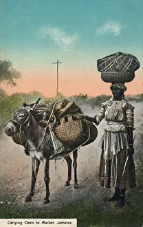 Baskets Prints: Carrying Coals to Market, Jamaica, early 20th century. Creator: Unknown