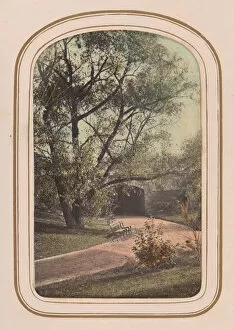 Ambrose Collection: Carte-de-visite Album of Central Park Views, 1860s. Creator: Ambrose Jackson