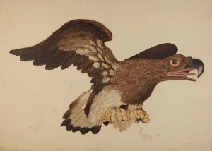 Robert Gilson Prints: Carved Wooden Eagle, c. 1939. Creator: Robert Gilson