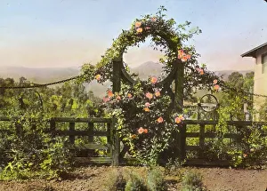 Trellis Prints: Casa de Mariposa, Walter Franklin Cobb house