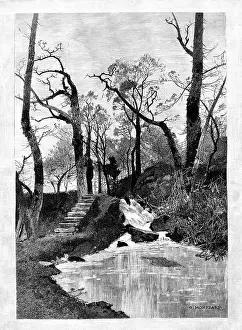 Grounds Prints: The Cascade in Hawarden Park, 1898. Creator: Unknown