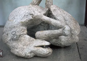 Cast of a chained dog from Pompeii, 1st century
