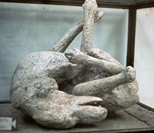 Volcano Prints: Cast of a chained dog from Pompeii, 1st century