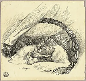 Bedclothes Prints: Cat Asleep in Basket, n.d. Creator: Auguste-Andre Lancon